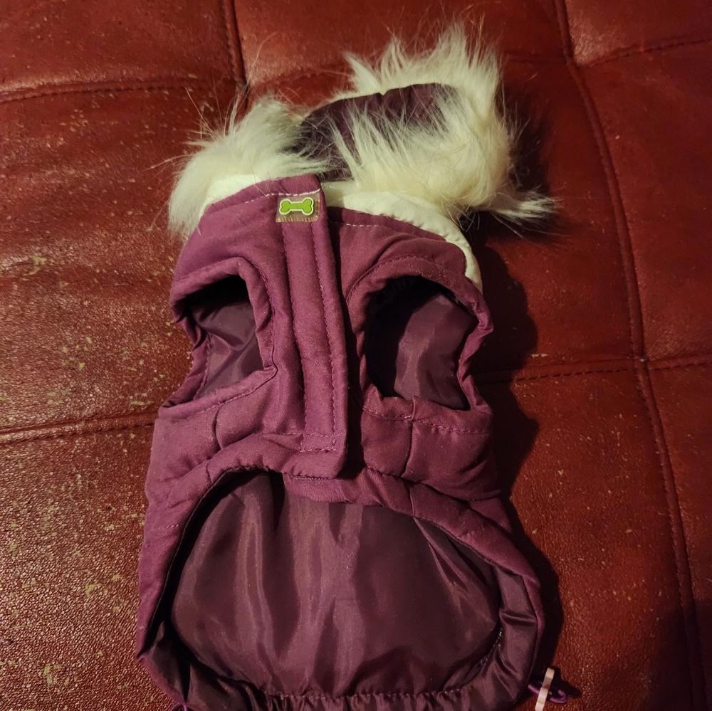Small dog vest